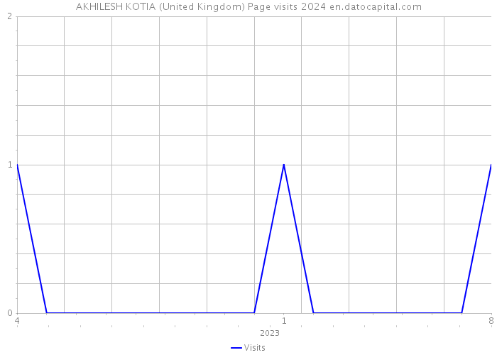 AKHILESH KOTIA (United Kingdom) Page visits 2024 