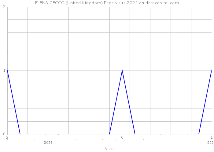 ELENA CECCO (United Kingdom) Page visits 2024 
