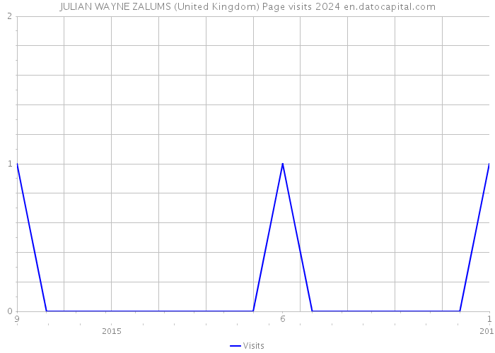 JULIAN WAYNE ZALUMS (United Kingdom) Page visits 2024 