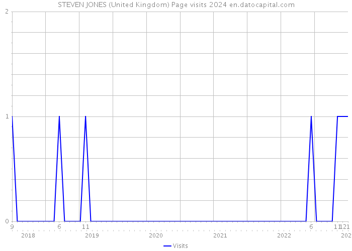 STEVEN JONES (United Kingdom) Page visits 2024 