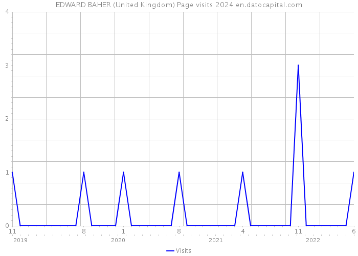 EDWARD BAHER (United Kingdom) Page visits 2024 
