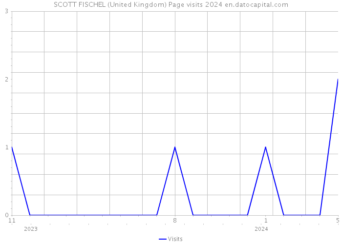 SCOTT FISCHEL (United Kingdom) Page visits 2024 