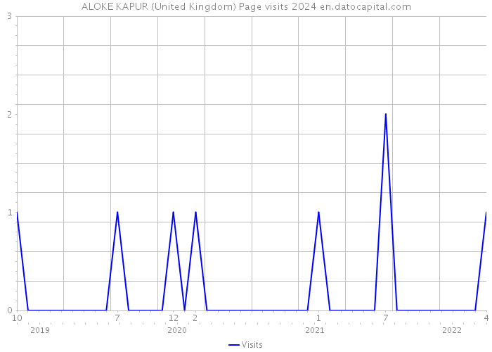 ALOKE KAPUR (United Kingdom) Page visits 2024 