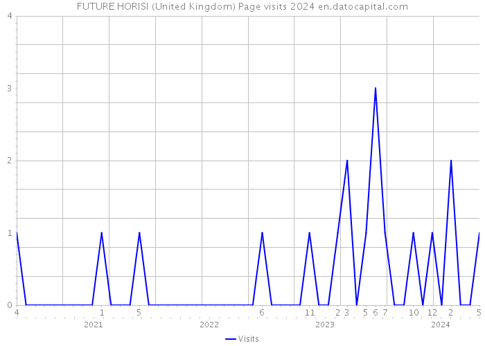 FUTURE HORISI (United Kingdom) Page visits 2024 