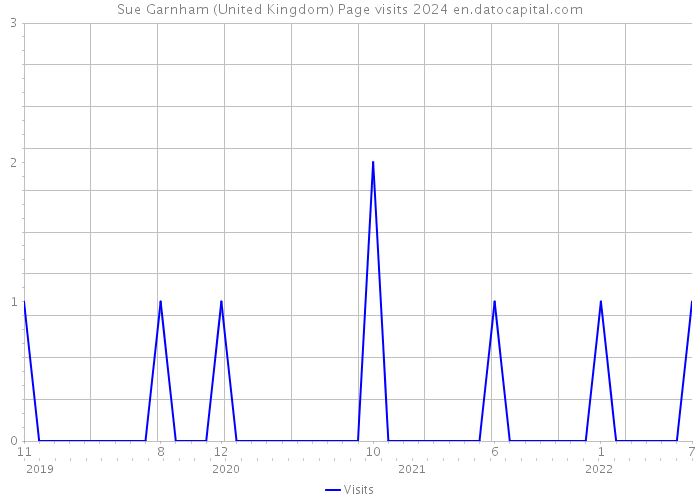 Sue Garnham (United Kingdom) Page visits 2024 