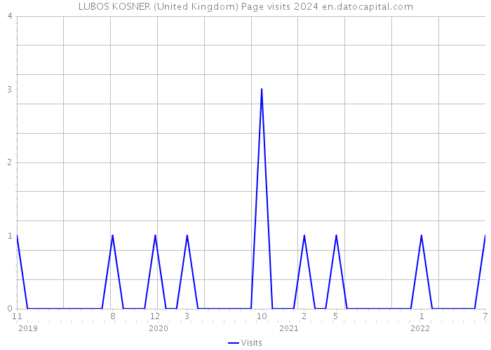 LUBOS KOSNER (United Kingdom) Page visits 2024 
