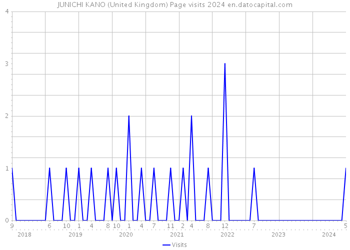 JUNICHI KANO (United Kingdom) Page visits 2024 