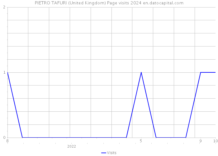 PIETRO TAFURI (United Kingdom) Page visits 2024 