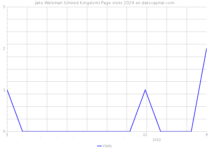 Jake Welsman (United Kingdom) Page visits 2024 