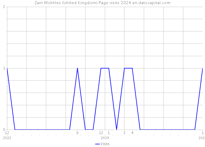 Zain Mokhles (United Kingdom) Page visits 2024 