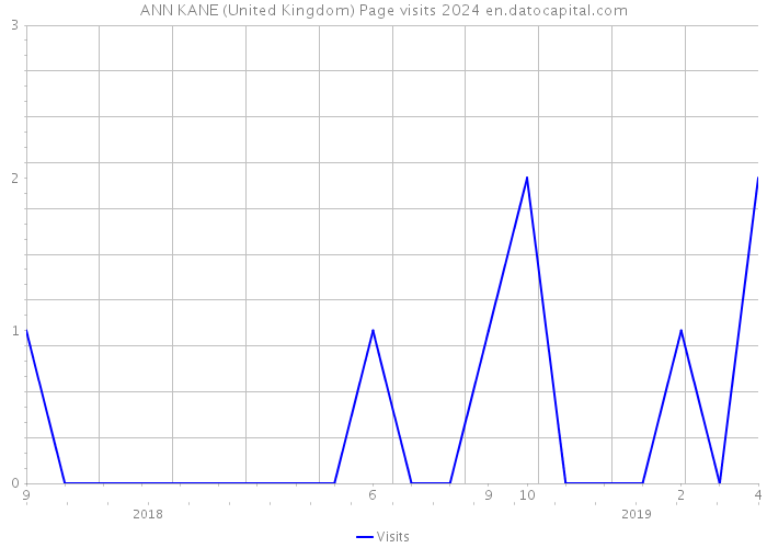 ANN KANE (United Kingdom) Page visits 2024 