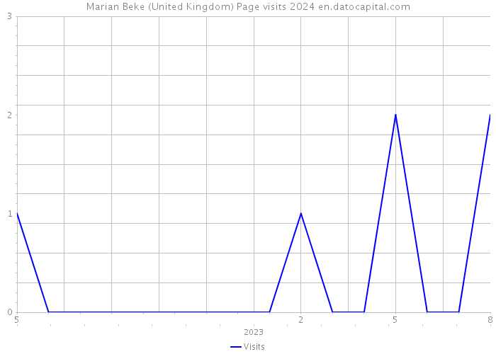 Marian Beke (United Kingdom) Page visits 2024 
