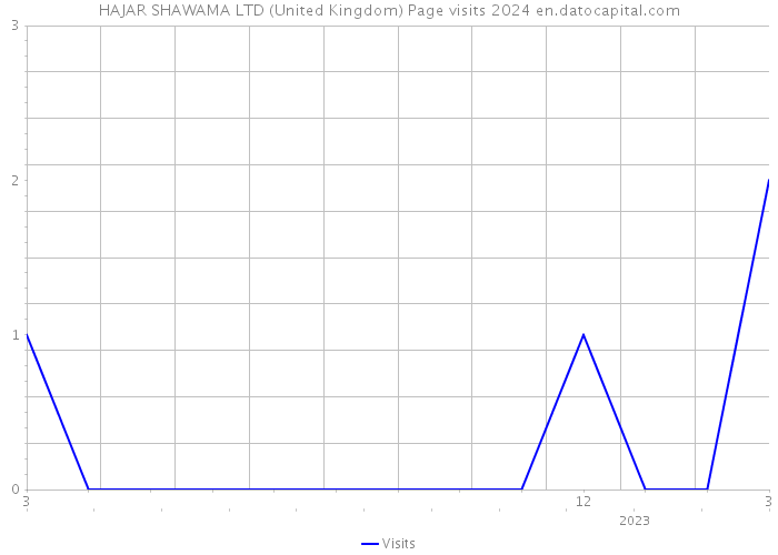 HAJAR SHAWAMA LTD (United Kingdom) Page visits 2024 