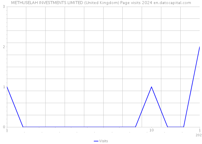 METHUSELAH INVESTMENTS LIMITED (United Kingdom) Page visits 2024 
