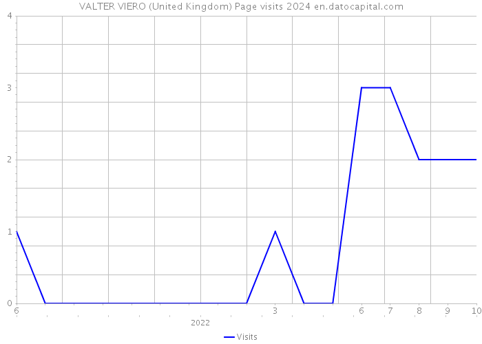 VALTER VIERO (United Kingdom) Page visits 2024 