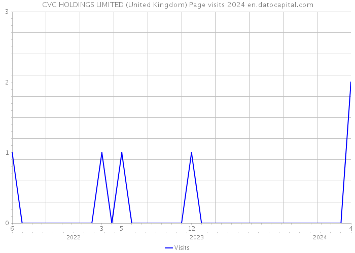 CVC HOLDINGS LIMITED (United Kingdom) Page visits 2024 