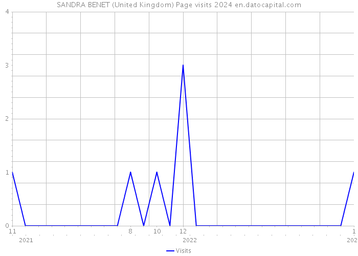 SANDRA BENET (United Kingdom) Page visits 2024 