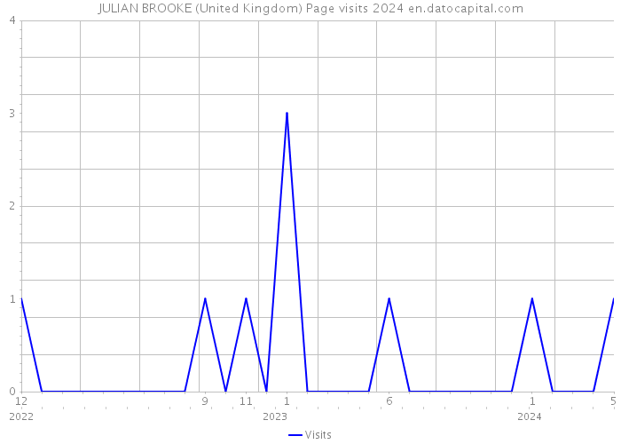 JULIAN BROOKE (United Kingdom) Page visits 2024 