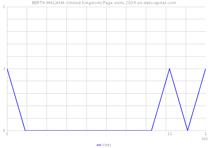 BERTA MAGANA (United Kingdom) Page visits 2024 