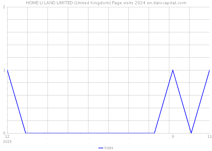 HOME LI LAND LIMITED (United Kingdom) Page visits 2024 