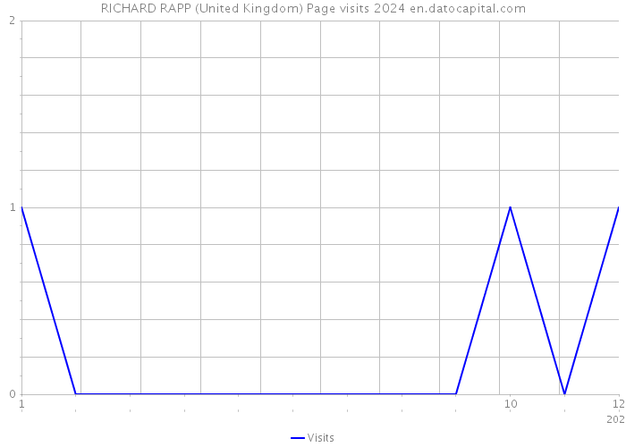 RICHARD RAPP (United Kingdom) Page visits 2024 