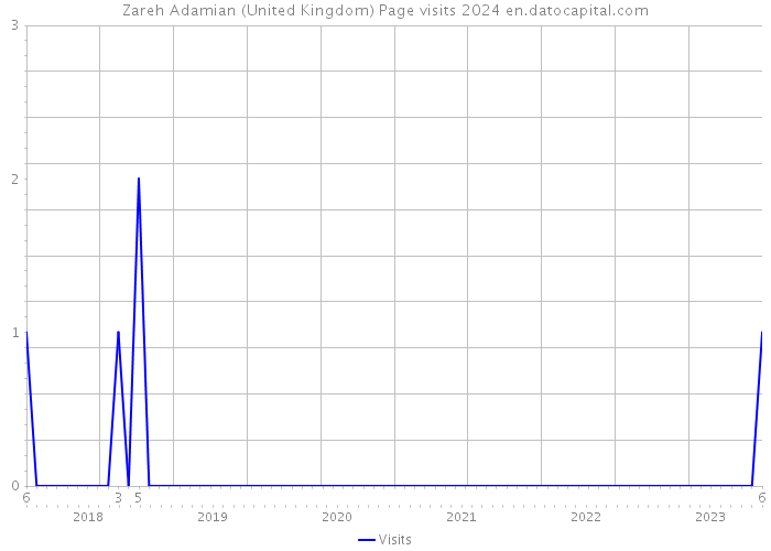 Zareh Adamian (United Kingdom) Page visits 2024 