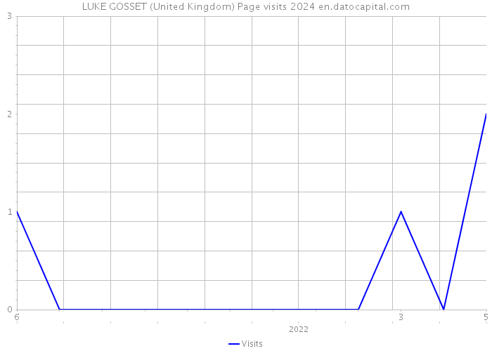 LUKE GOSSET (United Kingdom) Page visits 2024 