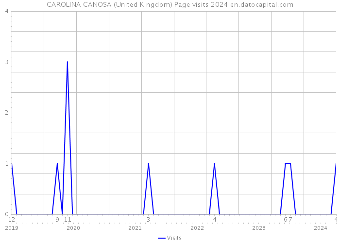 CAROLINA CANOSA (United Kingdom) Page visits 2024 