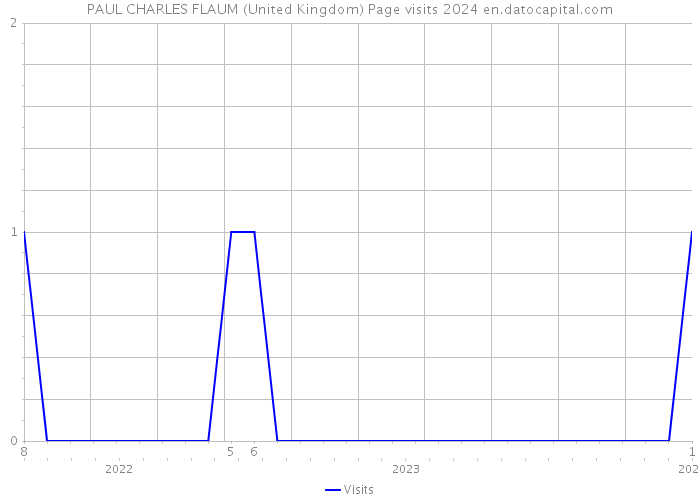 PAUL CHARLES FLAUM (United Kingdom) Page visits 2024 