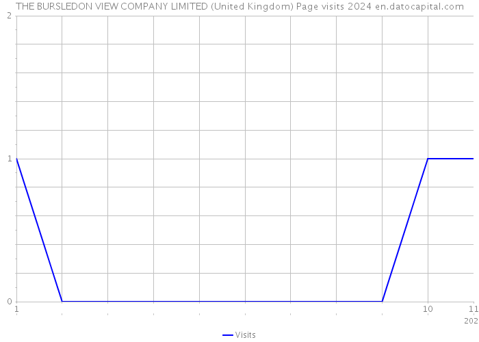 THE BURSLEDON VIEW COMPANY LIMITED (United Kingdom) Page visits 2024 