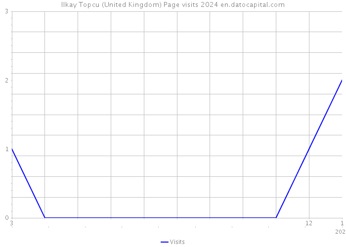 Ilkay Topcu (United Kingdom) Page visits 2024 