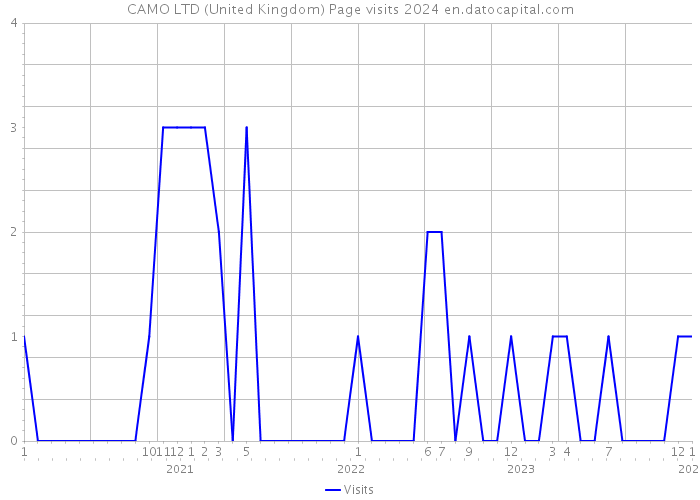 CAMO LTD (United Kingdom) Page visits 2024 