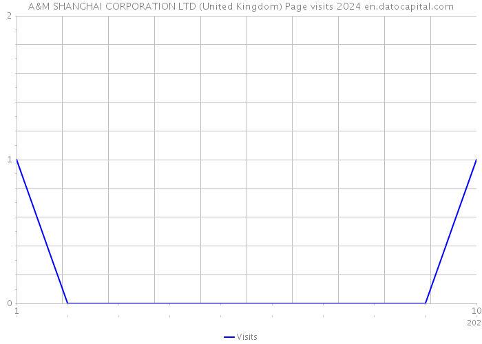 A&M SHANGHAI CORPORATION LTD (United Kingdom) Page visits 2024 