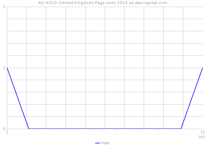 ALI AGCA (United Kingdom) Page visits 2024 