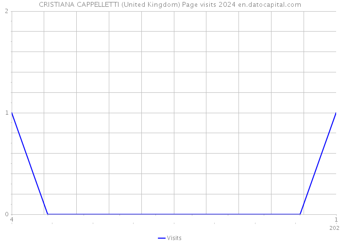 CRISTIANA CAPPELLETTI (United Kingdom) Page visits 2024 