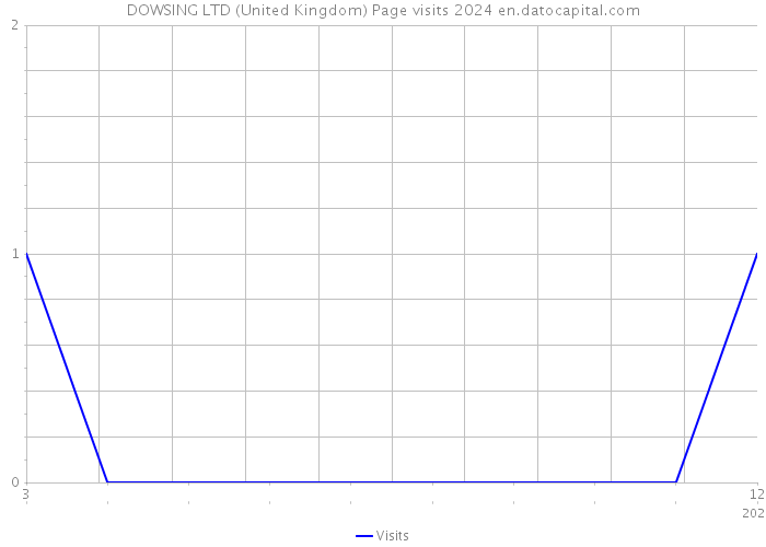 DOWSING LTD (United Kingdom) Page visits 2024 
