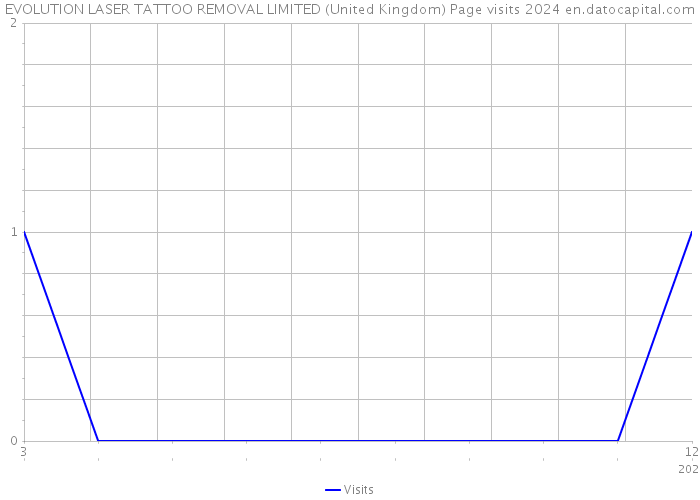 EVOLUTION LASER TATTOO REMOVAL LIMITED (United Kingdom) Page visits 2024 