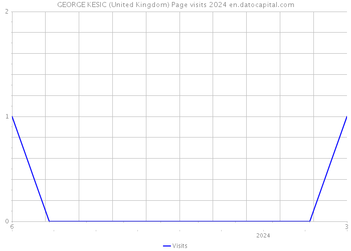 GEORGE KESIC (United Kingdom) Page visits 2024 