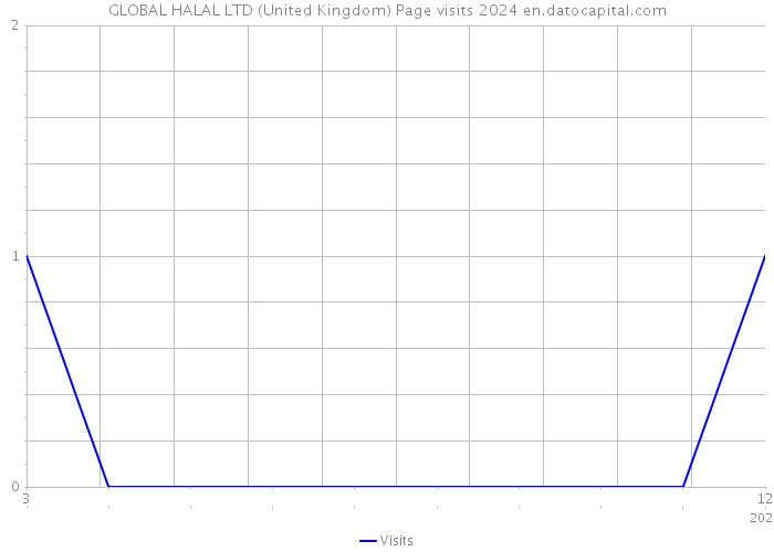 GLOBAL HALAL LTD (United Kingdom) Page visits 2024 