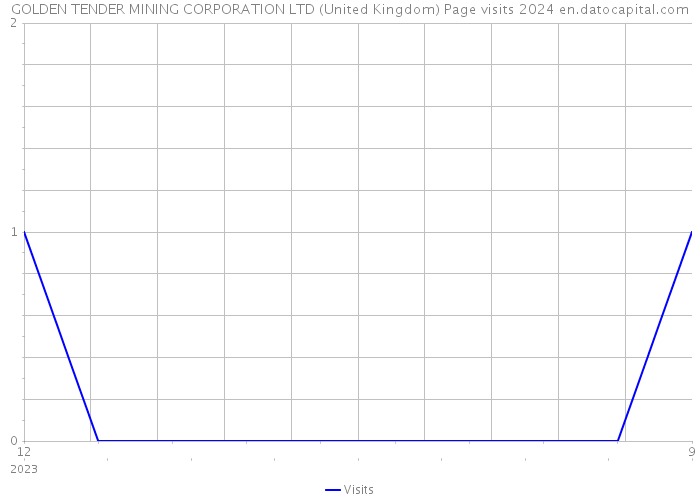 GOLDEN TENDER MINING CORPORATION LTD (United Kingdom) Page visits 2024 