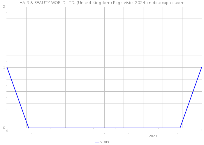 HAIR & BEAUTY WORLD LTD. (United Kingdom) Page visits 2024 