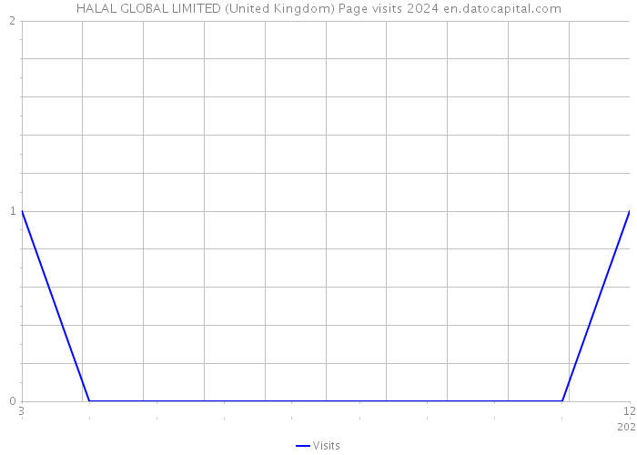 HALAL GLOBAL LIMITED (United Kingdom) Page visits 2024 