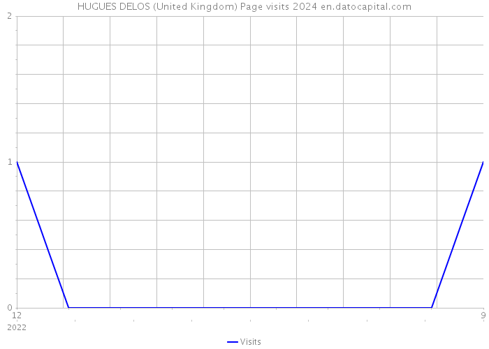 HUGUES DELOS (United Kingdom) Page visits 2024 
