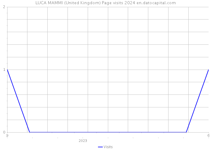 LUCA MAMMI (United Kingdom) Page visits 2024 