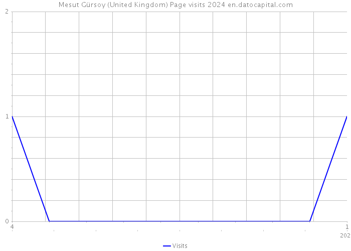 Mesut Gürsoy (United Kingdom) Page visits 2024 