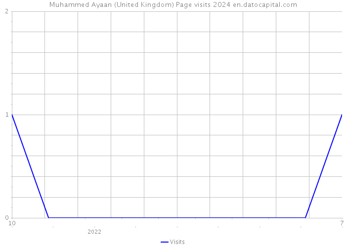 Muhammed Ayaan (United Kingdom) Page visits 2024 