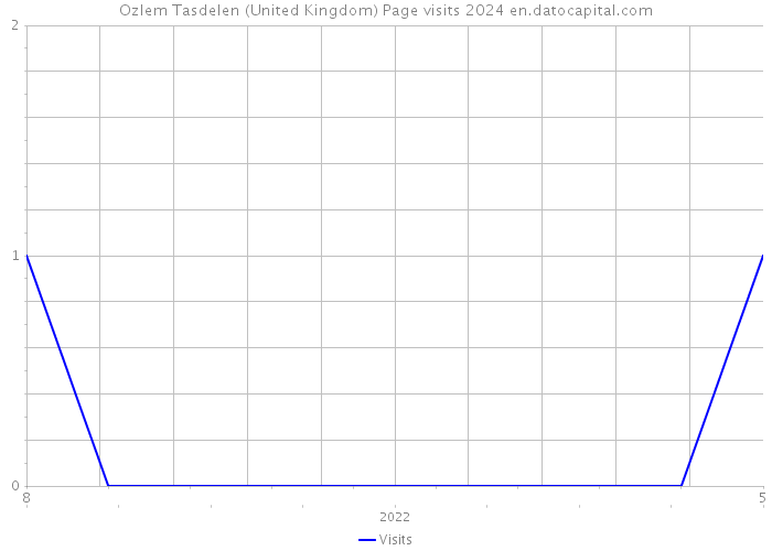 Ozlem Tasdelen (United Kingdom) Page visits 2024 
