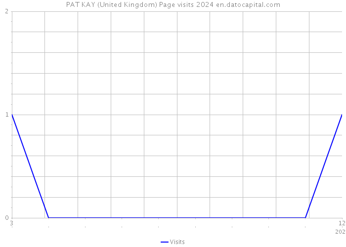 PAT KAY (United Kingdom) Page visits 2024 