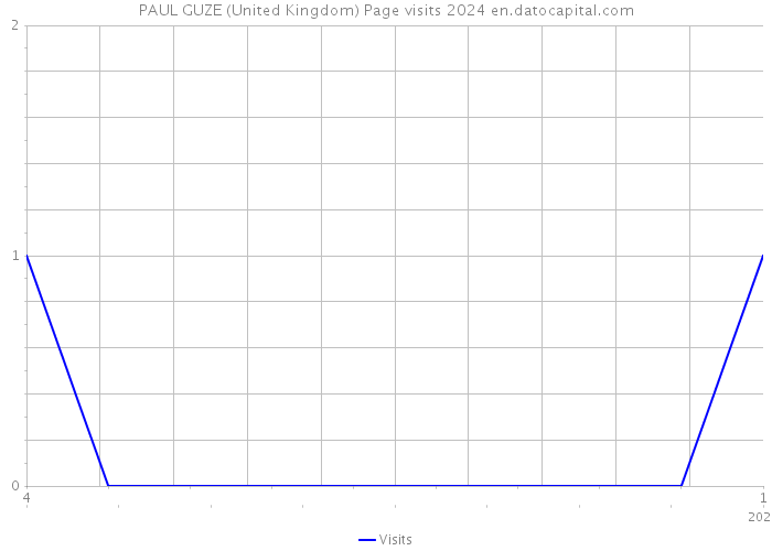 PAUL GUZE (United Kingdom) Page visits 2024 