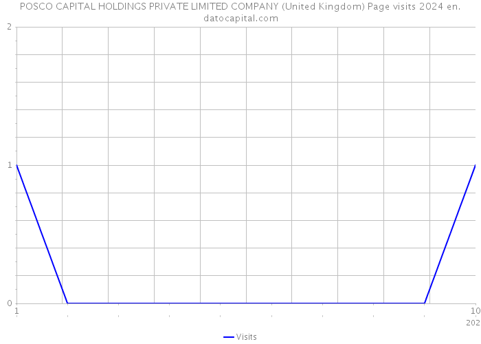 POSCO CAPITAL HOLDINGS PRIVATE LIMITED COMPANY (United Kingdom) Page visits 2024 